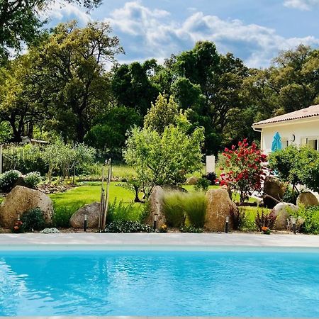 Mini Villa Pascal Paoli Avec Piscine - Proche Mer Prunelli-di-Fiumorbo Екстериор снимка