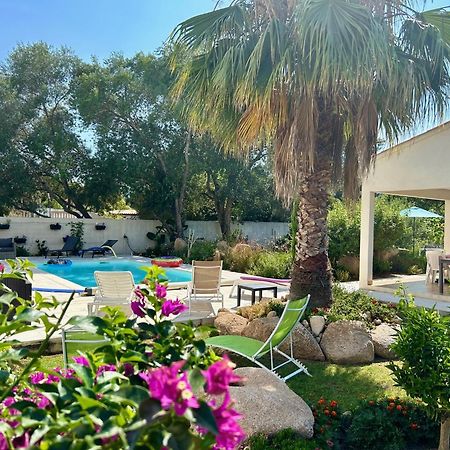 Mini Villa Pascal Paoli Avec Piscine - Proche Mer Prunelli-di-Fiumorbo Екстериор снимка